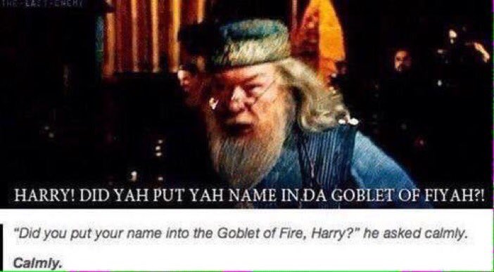 dumbledore goblet of fire meme