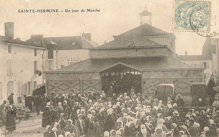 Festival FHF tweet media