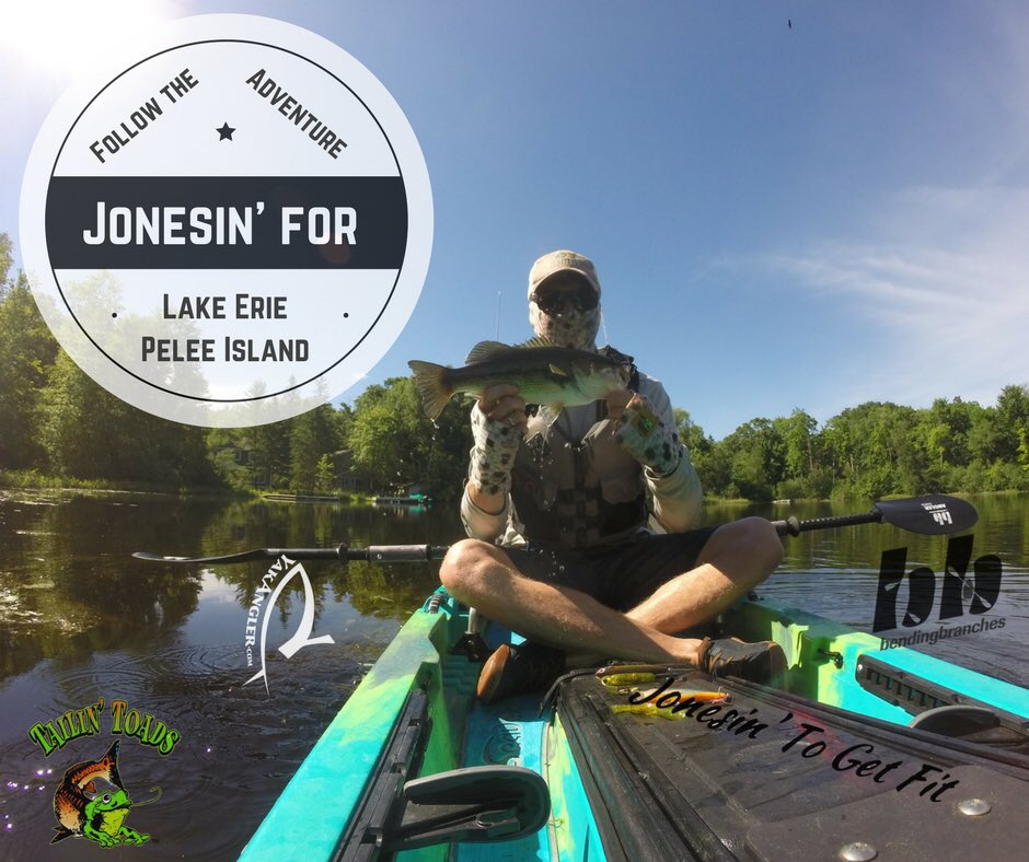 Catchorreleasereview tweet media