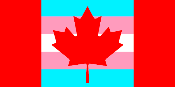 SexPositiveMag's tweet photo. #BillC16 - to include Gender Identity &amp; Expression in #CharterOfRightsAndFreedoms + #CriminalCode - received #RoyalAssent &amp; WILL become law! https://t.co/lEgIUXIVLz