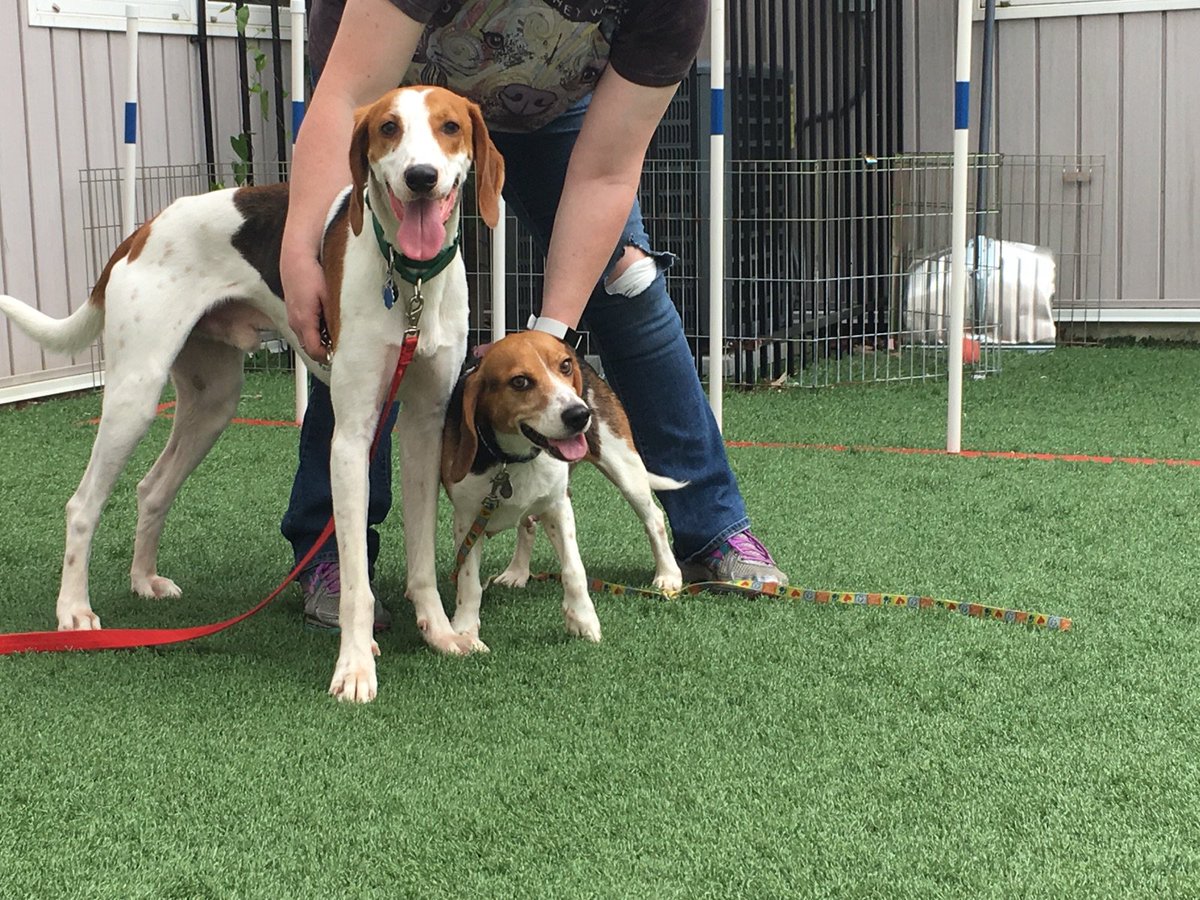 Pratt and Ginny    doesn't get much cuter than this!