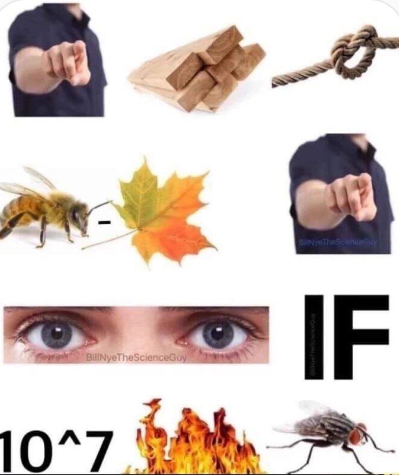Jprz1321's tweet photo. If you don't understand this we can be friends https://t.co/SZ9Lg5kio2