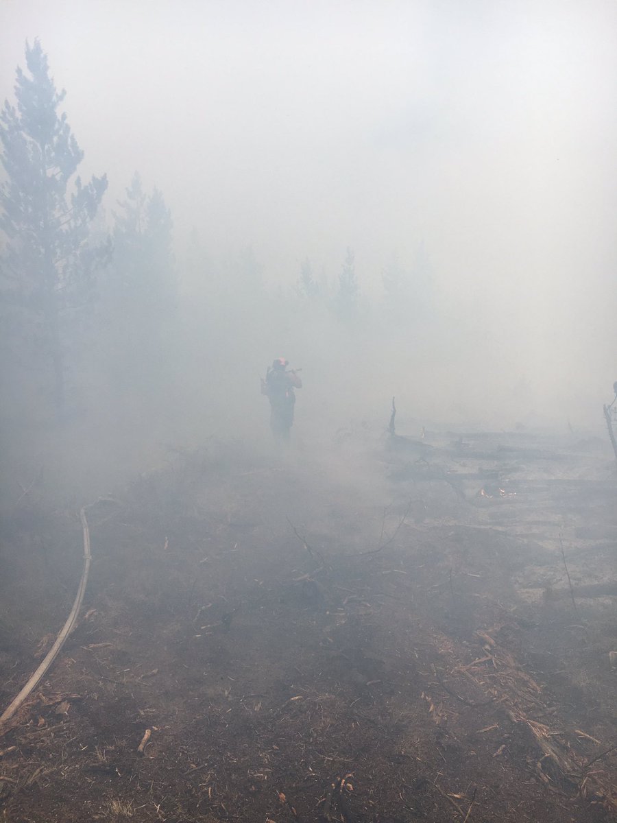 chad wilde tweet media