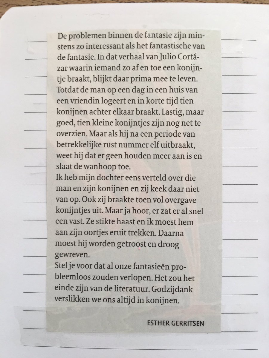 Nele Schansman tweet media