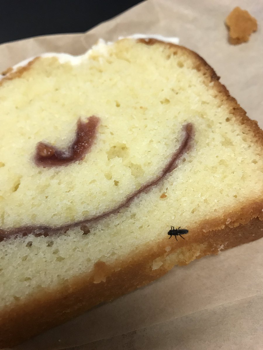 saradbo's tweet photo. Dear @StarbucksCanada, I love you. We visit every day. I'll #standbyyou always, but I may have to give up the loaf. #NotAngryJustDisapointed https://t.co/GUDHHEUVnU