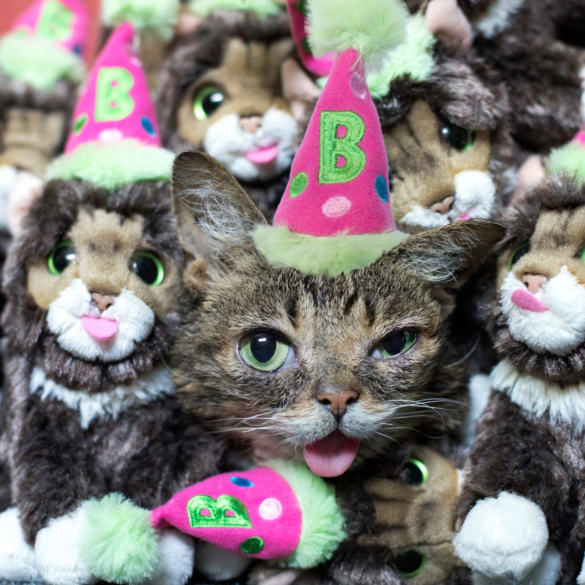 lil bub plush