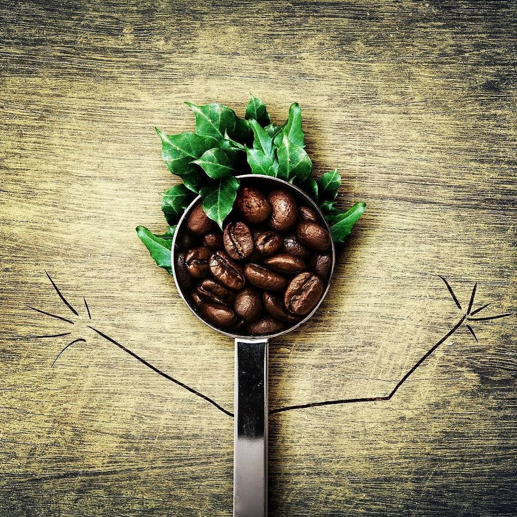 CoffeeOriginsT's tweet photo. Coffee from seed to bean and from bean to cup, one of the most traded commodity #coffee #specialtycoffee #coffeebe… https://t.co/9sFOZqnrTu https://t.co/aN7ASJWtAo