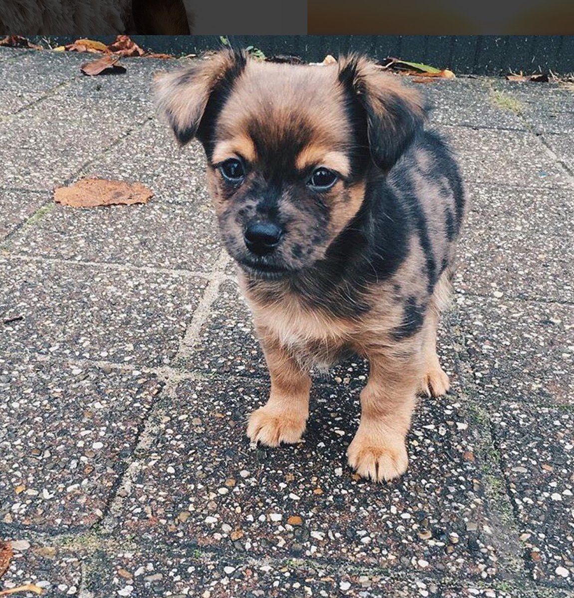 Wear Felicity tweet media