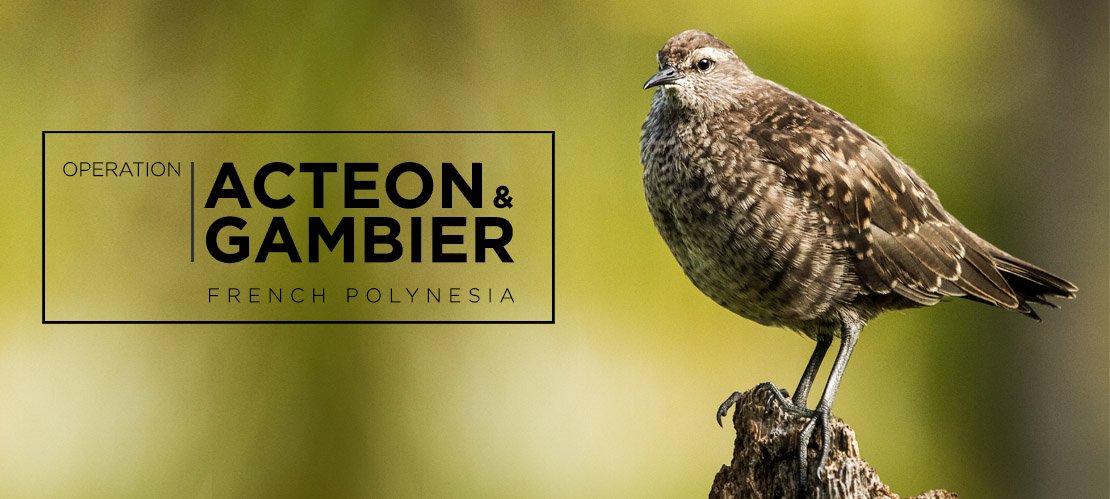Island Conservation tweet media