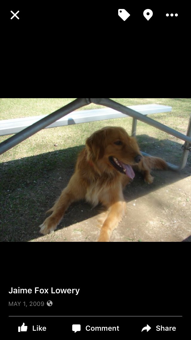 garrettfox2's tweet photo. Lost my best friend today I'll always carry u in my heart buddy I love you Champ https://t.co/Vy7yhEtfu0