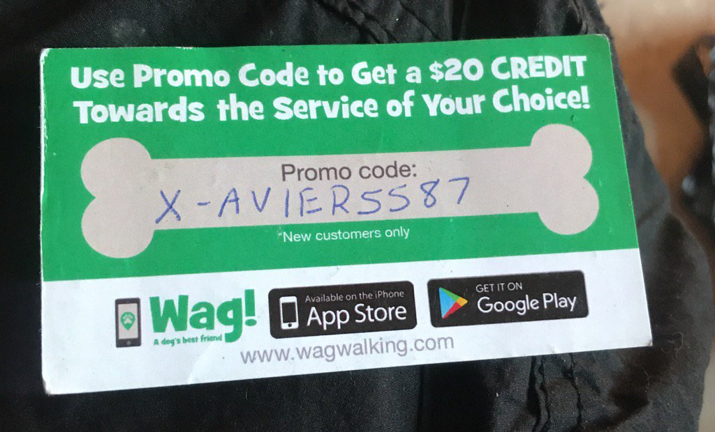 X-AVIER ACEVEDO tweet media