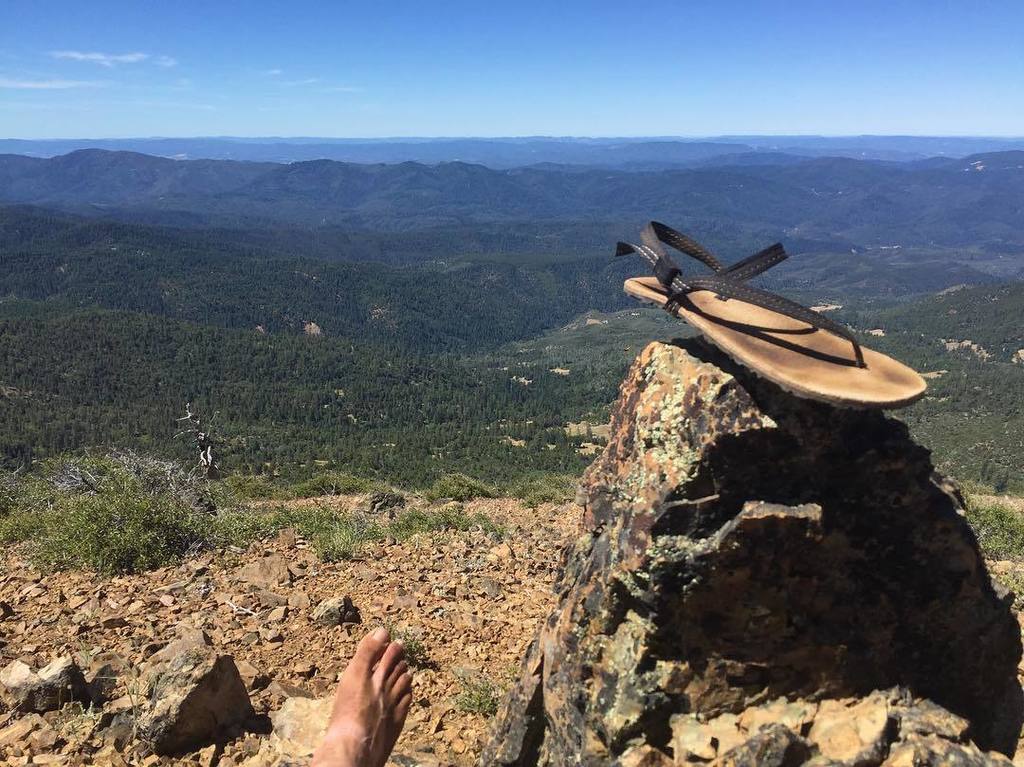 ReWildBeFree's tweet photo. I tried to reroute an over grown trail with spike laden bushes via a high vantage point: Fail #trailtime #navigati… https://t.co/Ej8gk2chfG https://t.co/VvKgvvt42X