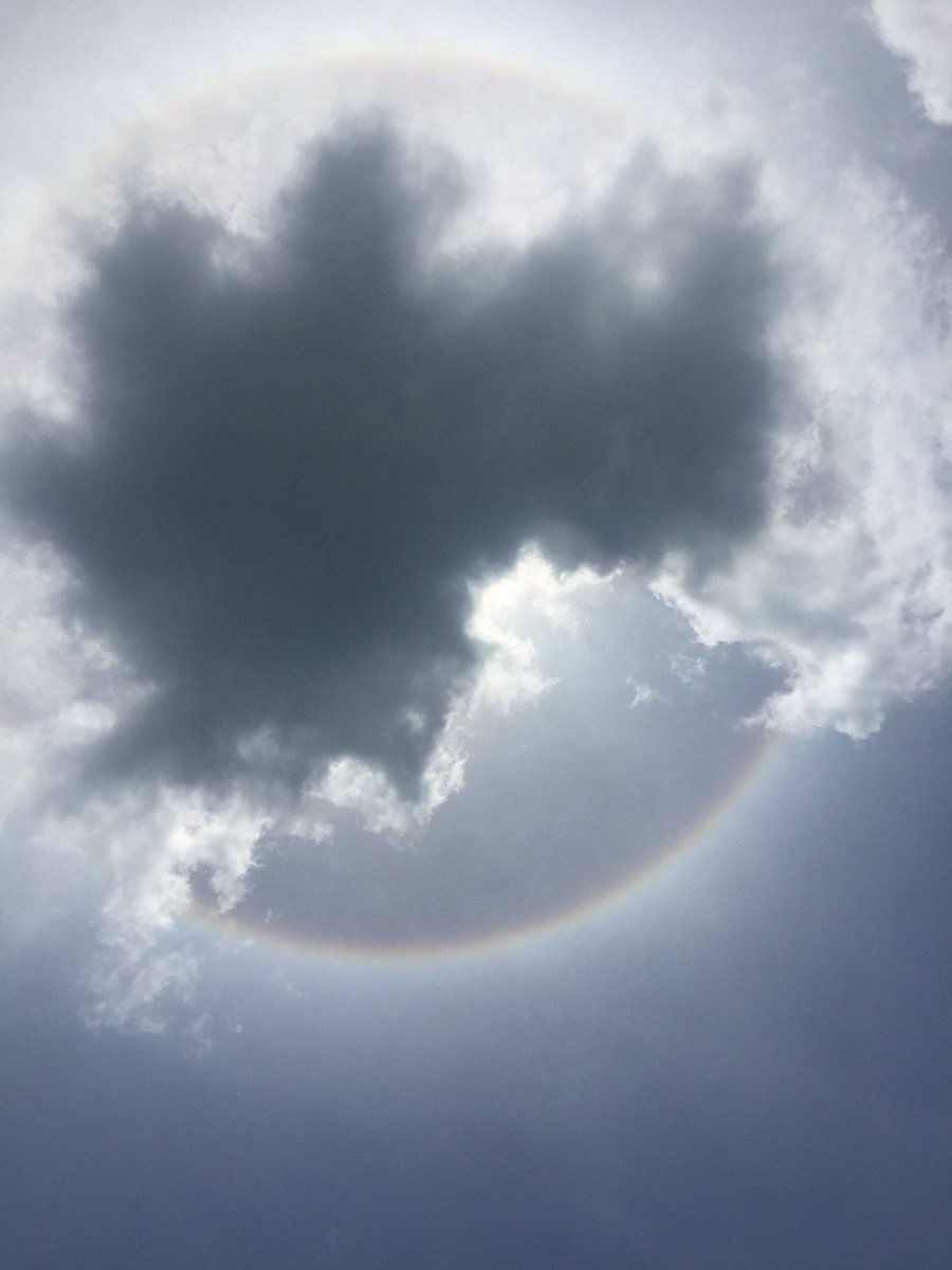 danawaldrep's tweet photo. @spann 
Not sure what this is but it's beautiful!! From Arley Alabama. https://t.co/RC4Mhna3aE