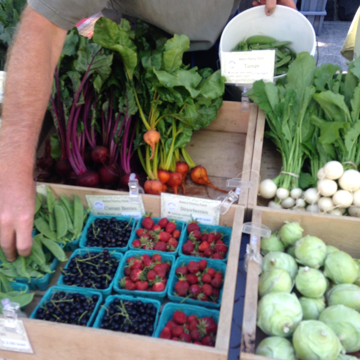 What’s for dinner this week? Sward Farm is here to help you decide. 8th &amp; Oak St till 3pm. #whatsfordinner #dwntwneug