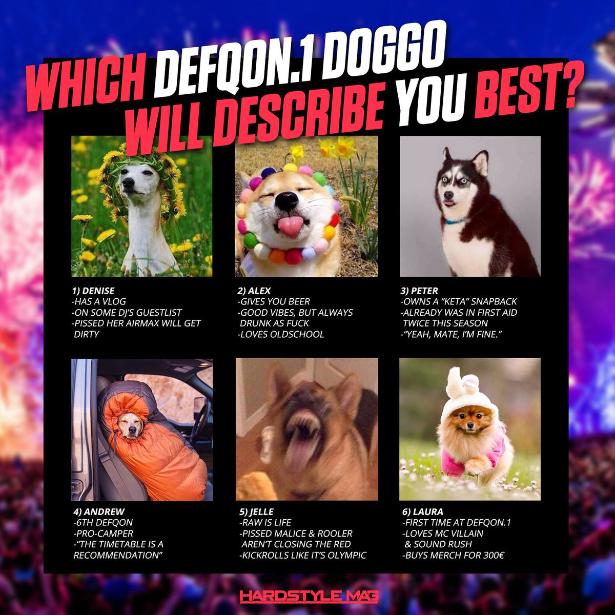 MAXIMUM BORKDRIVE! Tag your friends! #Defqon1 #hardstyle #doggos