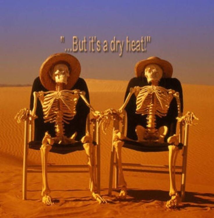 komenAZ's tweet photo. Happy first day of summer! Make sure to stay hydrated and check out fun ways to survive the heat: https://t.co/9WS5p3YhgT https://t.co/8NVGCsnedM