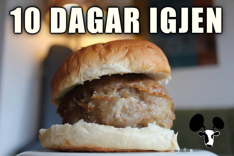 Farsa Ranglerock! Har du ikkje sikra deg billett så har me det til deg her: ranglerock.no/billettar/