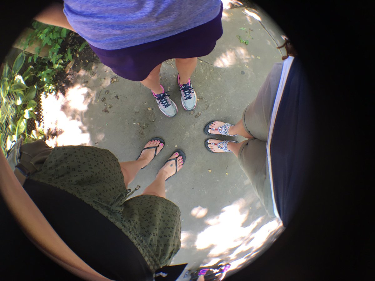 MsNikkiWarfield's tweet image. #parkwayschools #funpd #teacherslearning #summerpd