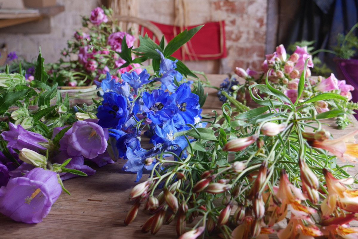 Wonderfully wild flowers for a sun-flooded wedding at Vale Crucis Abbey