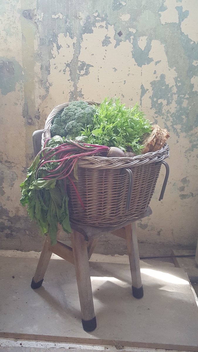 leerfabriekkvl's tweet photo. Eerste #oogst #moestuin #kvlleermeesters @leerfabriekkvl #schonegrond #sanering @ReyrinkNL @gem_oisterwijk https://t.co/eLuPRWlH2a