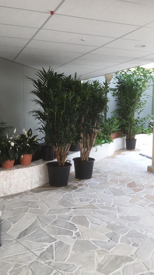 CPhotnews's tweet image. Planten aangekomen in het nieuwe Water Playhouse @CPPortZelande! Het testen mét water is ook begonnen!