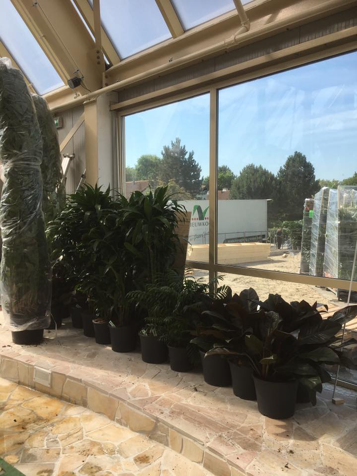 CPhotnews's tweet image. Planten aangekomen in het nieuwe Water Playhouse @CPPortZelande! Het testen mét water is ook begonnen!