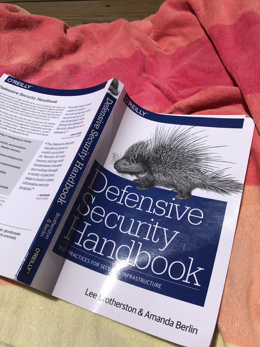 GurlyG00ber's tweet image. Light reading on this beautiful day #infosecnoob