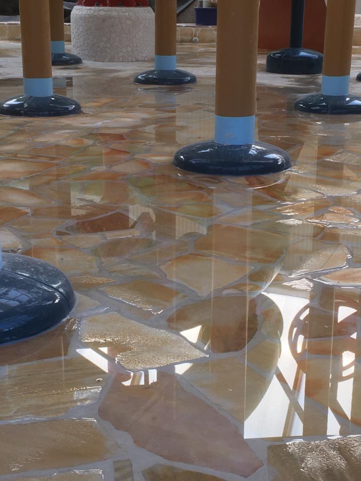 CPhotnews's tweet image. Planten aangekomen in het nieuwe Water Playhouse @CPPortZelande! Het testen mét water is ook begonnen!