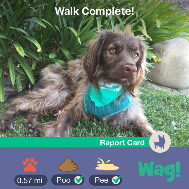 Robin Kendall (RobinNKendall) Twitter