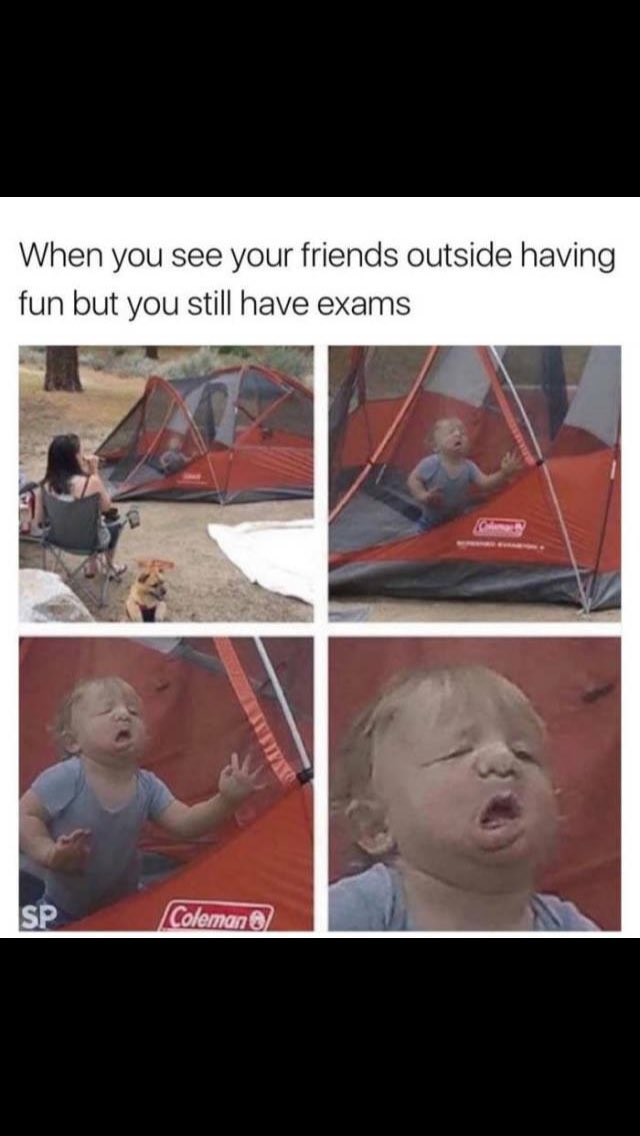 jamesadz_'s tweet photo. So annoying whilst everyone has finished Uni and im still in college till the 29th 😭😭 https://t.co/TnudsGO6dw