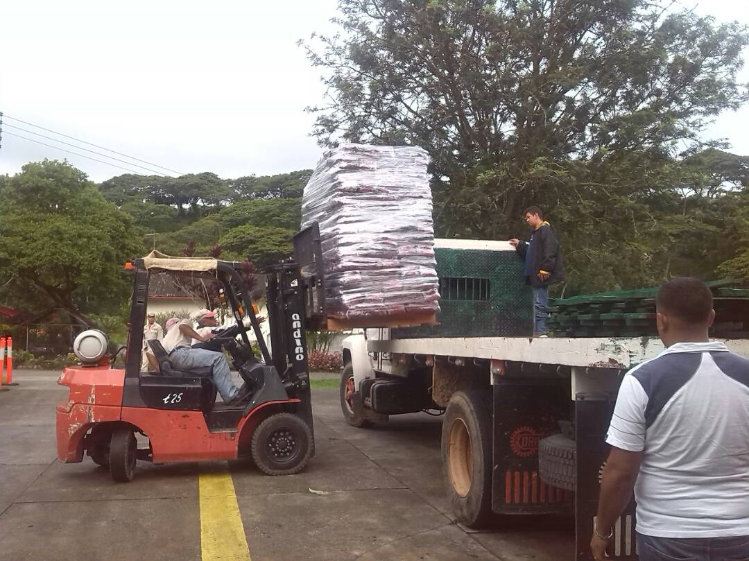 CafeVenezuelaSA's tweet photo. En Boconó Edo. Trujillo la @UPS_ArgimiroG Despachó de 10TM de café molido Premiun Grado 2 para la EPS Distal para ser distribuido a los CLAP https://t.co/jaZsGBMKCP