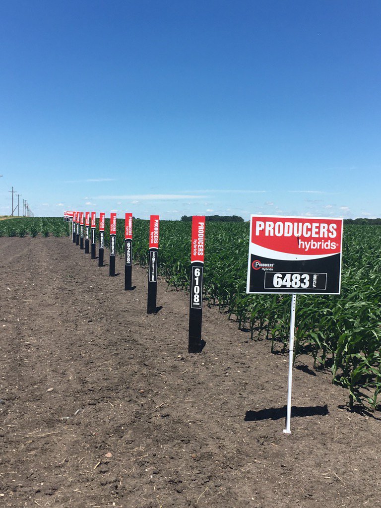 DanielOlson12's tweet photo. First P3 plot signed by Morgan MN @DanielOlson12 @dschou4_12 #PHProjectRED https://t.co/YG6gATeAIv
