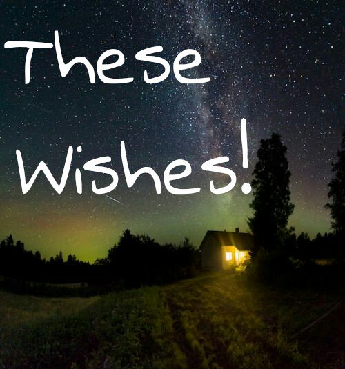 A_r_o_n__'s tweet image. 