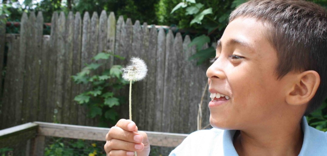 JaneGoodallInst's tweet image. On #WorldRefugeeDay, we reflect on peaceful gardens &amp;amp; working collectively to bring ppl together: bit.ly/2jIhFtK #WithRefugees