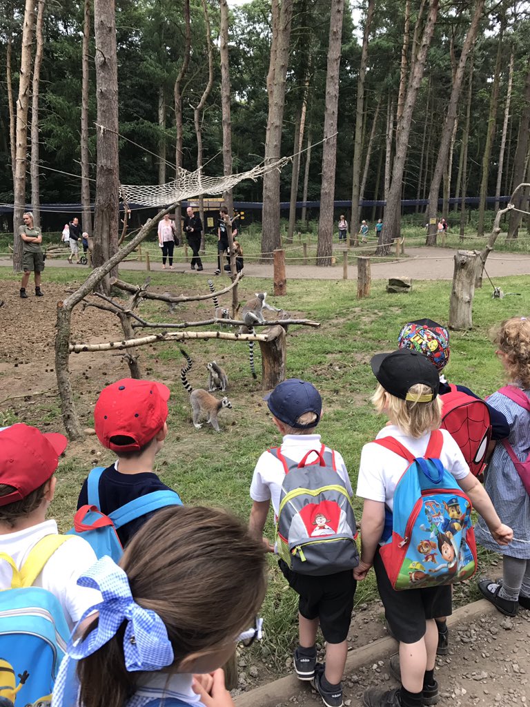 Harts_R2's tweet photo. What a great day learning about animals! #Theworld #handlingmoney #havingfun! @hartsholmeacad @FS1harts https://t.co/sC9PXPrRcD