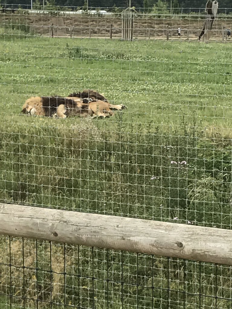 Harts_R2's tweet photo. What a great day learning about animals! #Theworld #handlingmoney #havingfun! @hartsholmeacad @FS1harts https://t.co/sC9PXPrRcD