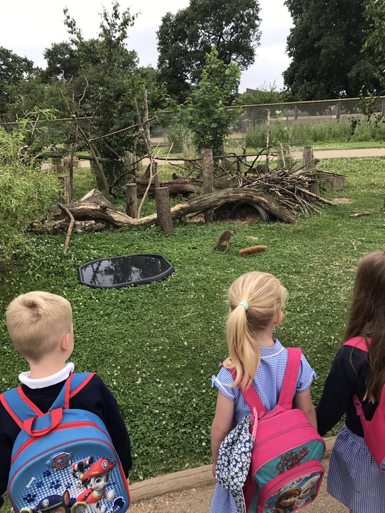 Harts_R2's tweet photo. What a great day learning about animals! #Theworld #handlingmoney #havingfun! @hartsholmeacad @FS1harts https://t.co/sC9PXPrRcD