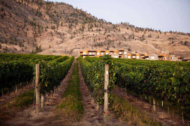 Cherry Fiesta July 1st will kick off summer tourism season in <a href="/osoyoosbc/">Destination Osoyoos</a> destbc.co/vM5wfF #BCTourismMatters Pictured: <a href="/SpiritRidgeBC/">Spirit Ridge</a>