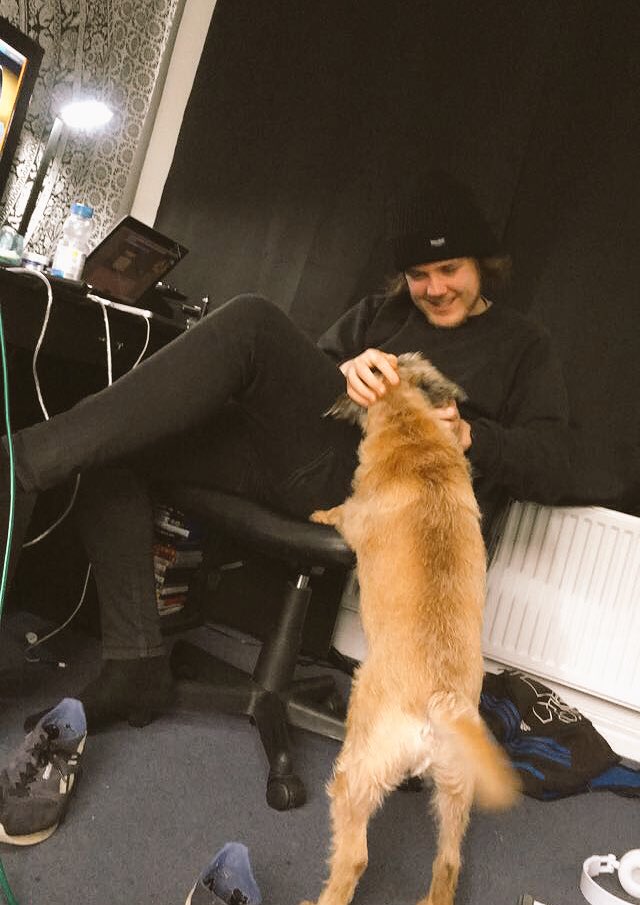 dogs are key for recording