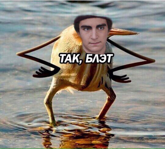 Dimwitye's tweet image. 