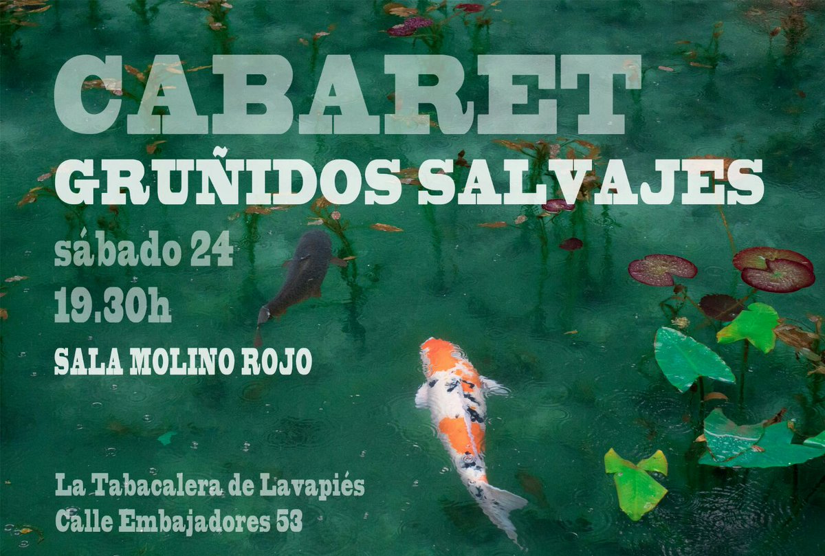 Gruñidos Salvajes tweet media