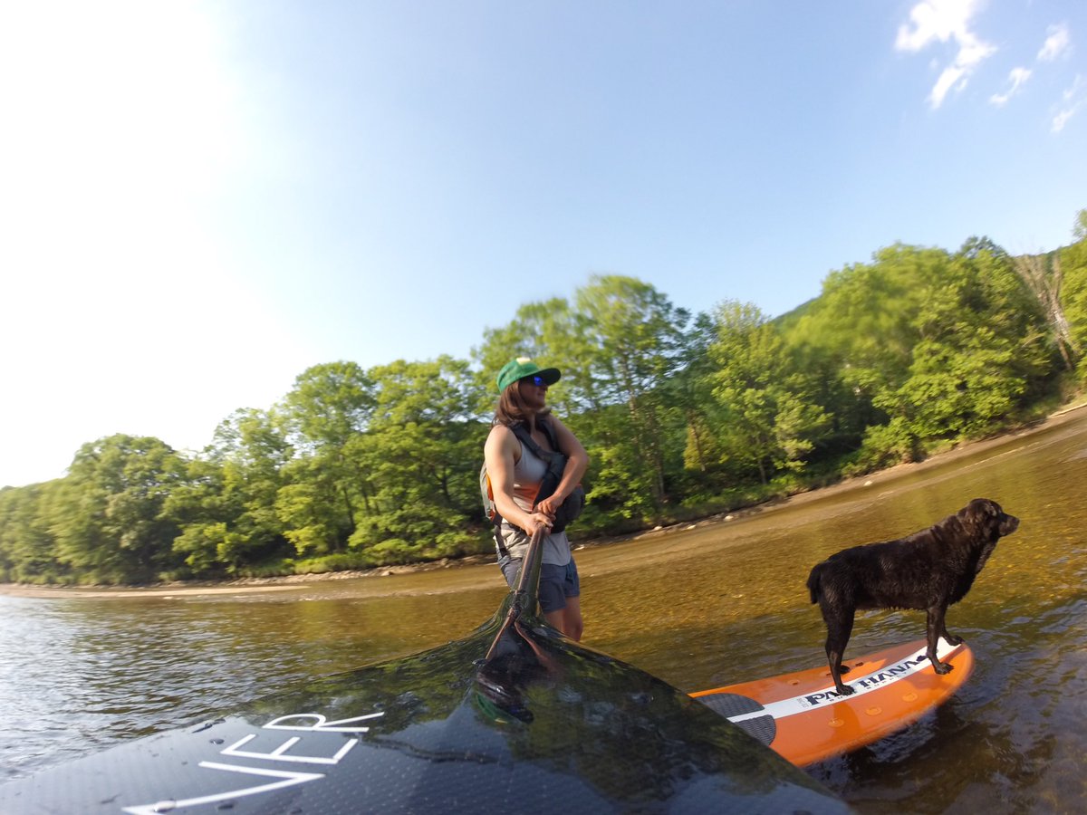Brook loves to #sup <a href="/PauHanaSUP/">PauHanaSurfSupply</a> #pauhanatime <a href="/WernerPaddles/">Werner Paddles</a> <a href="/zoaroutdoor/">Zoar Outdoor</a> <a href="/NRSWEB/">NRS</a> #suppup #VT <a href="/OfficialMauiJim/">Official Maui Jim</a> #gopro