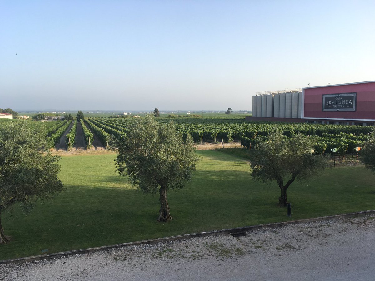 Robyn Wilson tweet media