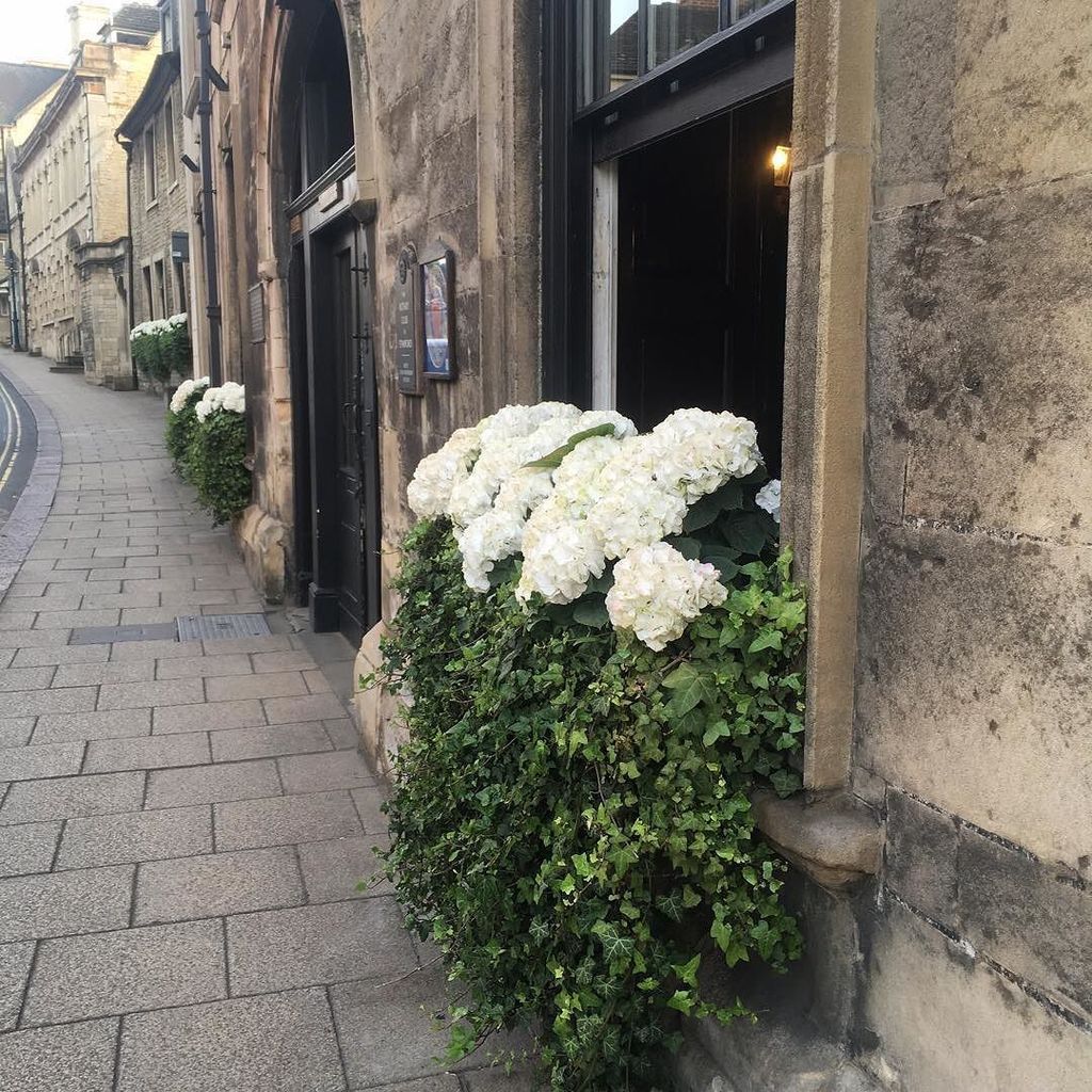 brightandgood's tweet photo. Gorgeous, fulsome window boxes of white hydrangea and ivy proceeding up the hill outside The George. https://t.co/6xeZGq8tCG https://t.co/f2okpITdY0