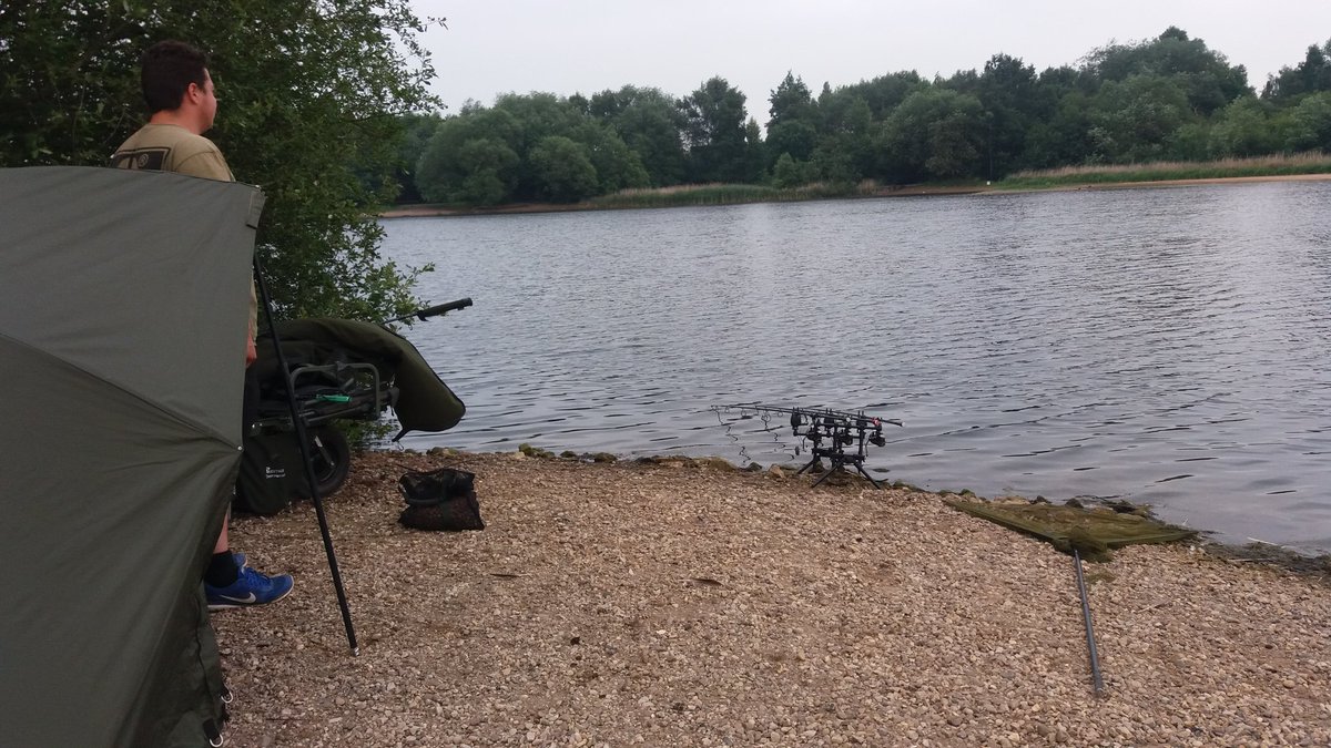 branstonwater's tweet image. @CharlieLittle16 had a couple small commons last night back on tonight