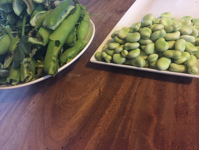 Ted's Homestead tweet media