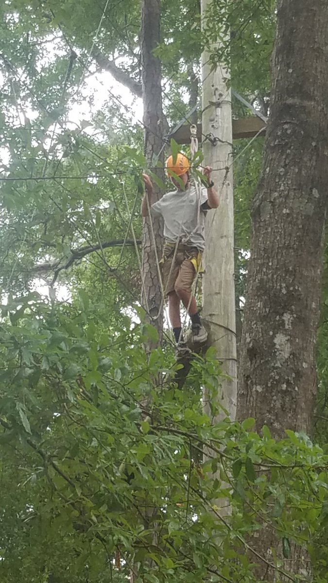 ElizCMiegel's tweet photo. High Ropes Course! #SCFFACAMP #Leadership #Teamwork #FFAbonding https://t.co/bZHmGGhfUK