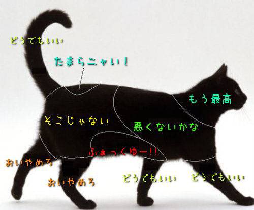 Media Tweets By 星辰 なろう連載中 Nekoisekai Twitter Media Tweets By 星辰 なろう連載中 Nekoisekai Twitter