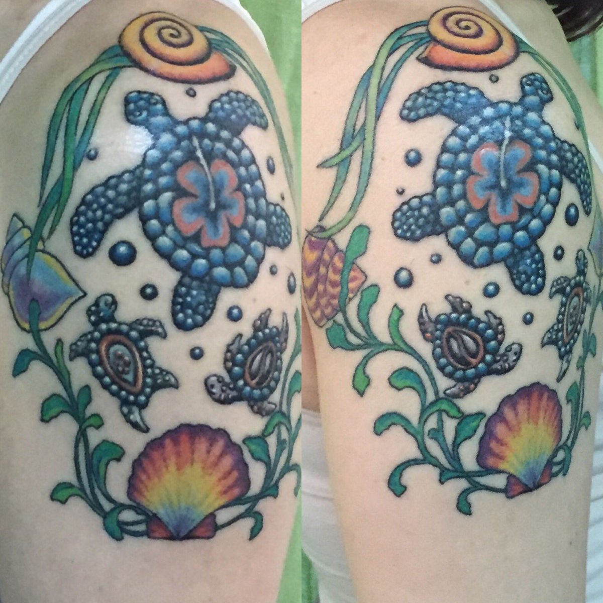 Olika201's tweet photo. New addition to my turtle tattoo ) the 25th moon day is my moon birthday and its signs are a turtle and a shell) so a few shells ) #tattoo https://t.co/3ylg0t0iwJ