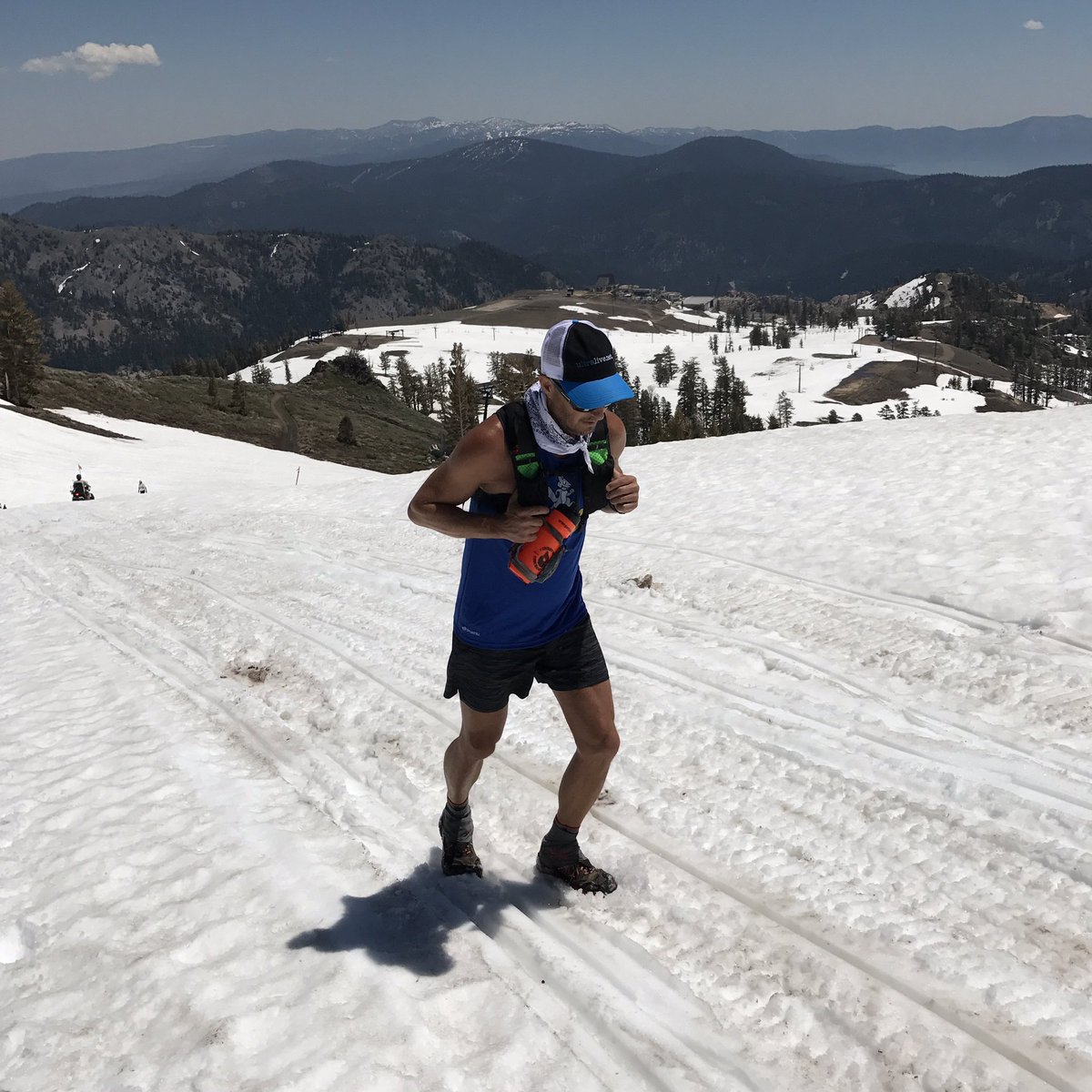 Ted Knudsen tweet media